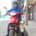 Jorge I. A. A.