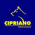 Cipriano A.