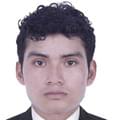Carlos F. V. T.
