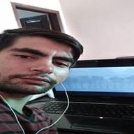 Freelancer Saqib Z.