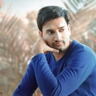 Freelancer Syed H. H.