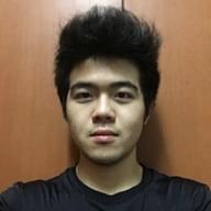 Freelancer Gan G. Y.