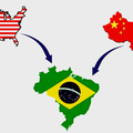 Michelle S.