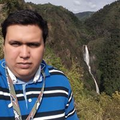 Wilmer S.