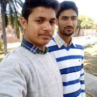 Freelancer Mohit S.