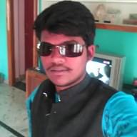Freelancer Sanju D.