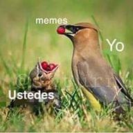 Freelancer Daniel F.