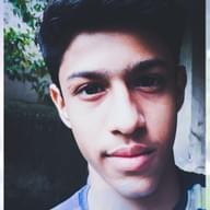 Freelancer Harshit P.
