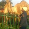 Idrisse R.