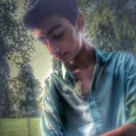 Freelancer SHAYAN M. A. G.