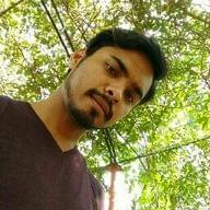 Freelancer Vaibhav G.