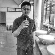 Freelancer Laksono A. P.