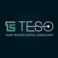 Freelancer Teso