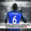 Rafael T.