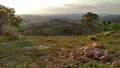 Felipe S.