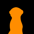 Nicolás S.