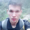 Elver A. M.