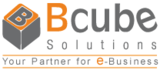 Freelancer Bcube S.