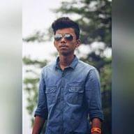 Freelancer Animesh K.