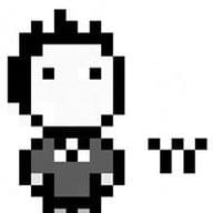 Freelancer Yan Y.
