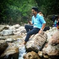 Freelancer Anshul A.