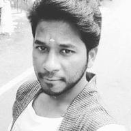 Freelancer Raja V.