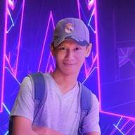 Freelancer Chan N. T.