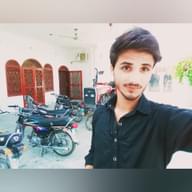 Freelancer Nazish M.