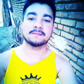 Francisco A. P.
