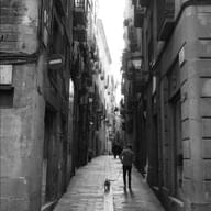 Freelancer Bitton S.