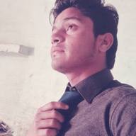 Freelancer Dhanesh K.
